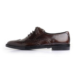 Wing Tip Brogue - Premium SHOES from ROYAL STEP - Just Rs.9000! Shop now at ROYAL STEP